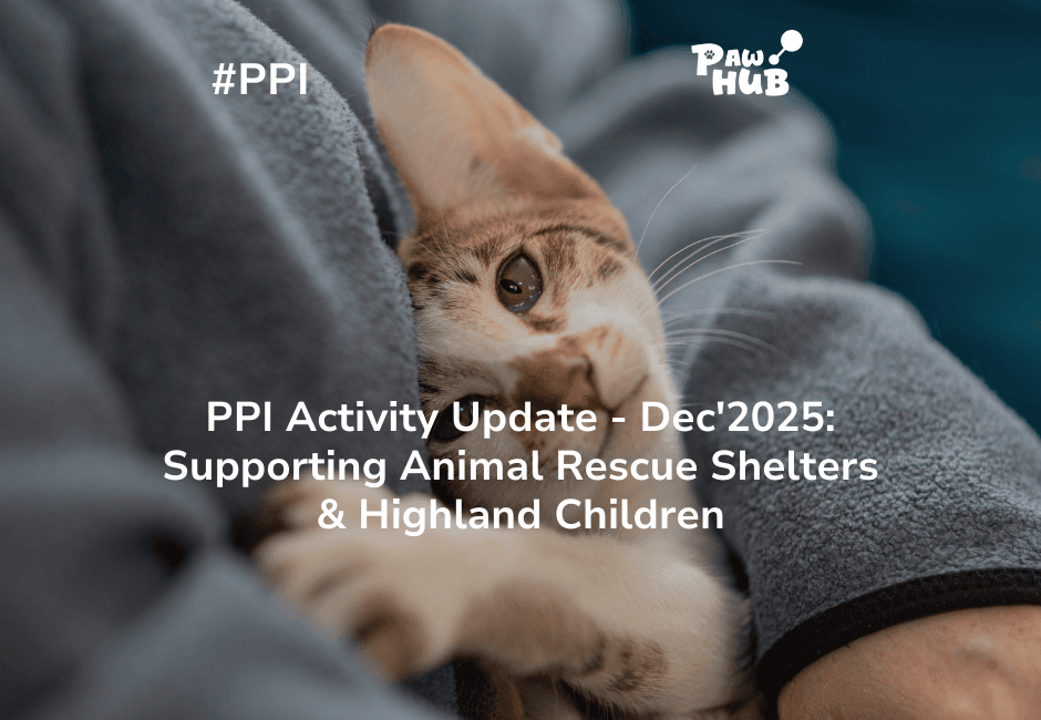 #PPI COMMUNITY ACTIVITIES – DECEMBER 2025 UPDATES